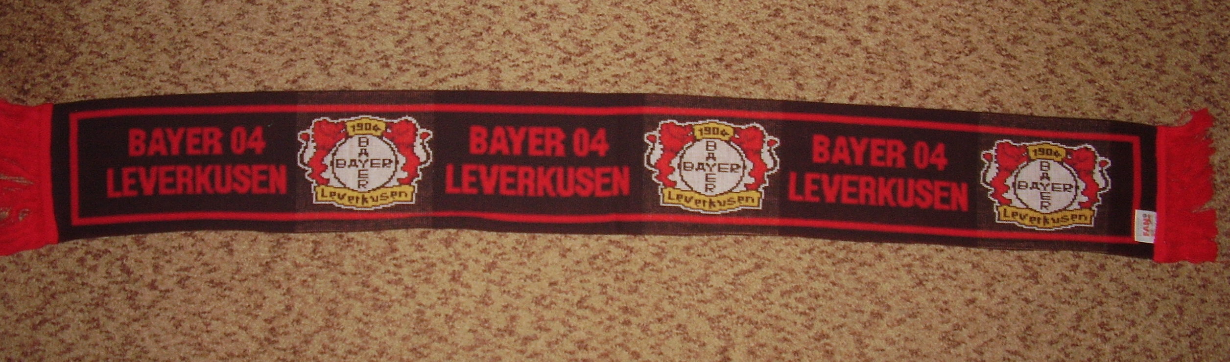 Bayer 04 Leverkusen - německá fotbalová bundesliga